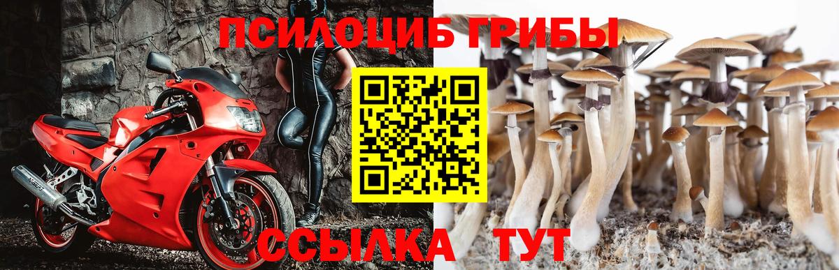 Псилоцибиновые грибы Cubensis Феодосия